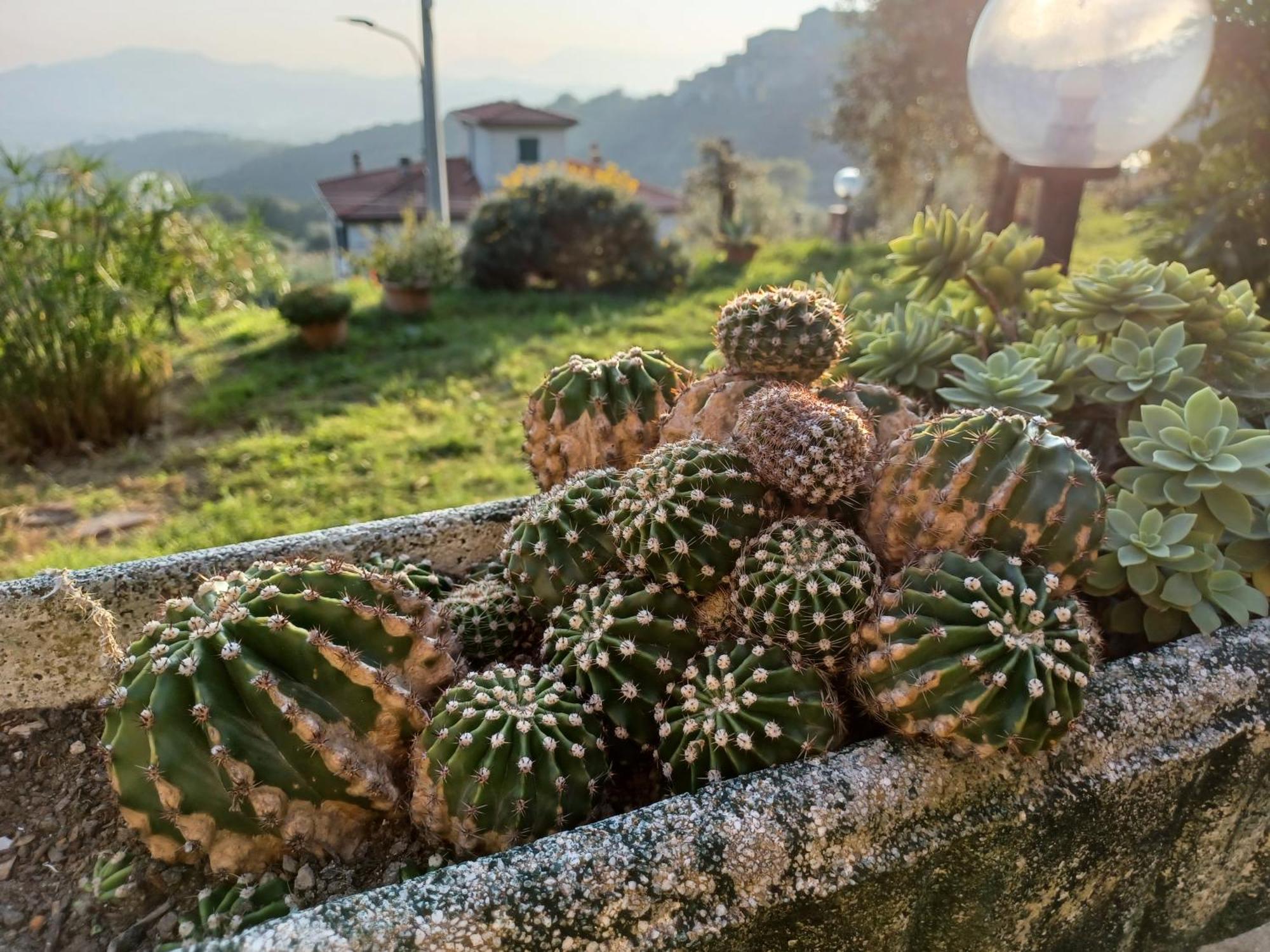 Ponzano Superiore Il Fontolo 빌라 외부 사진